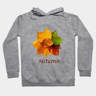 The leaves turn Hoodie